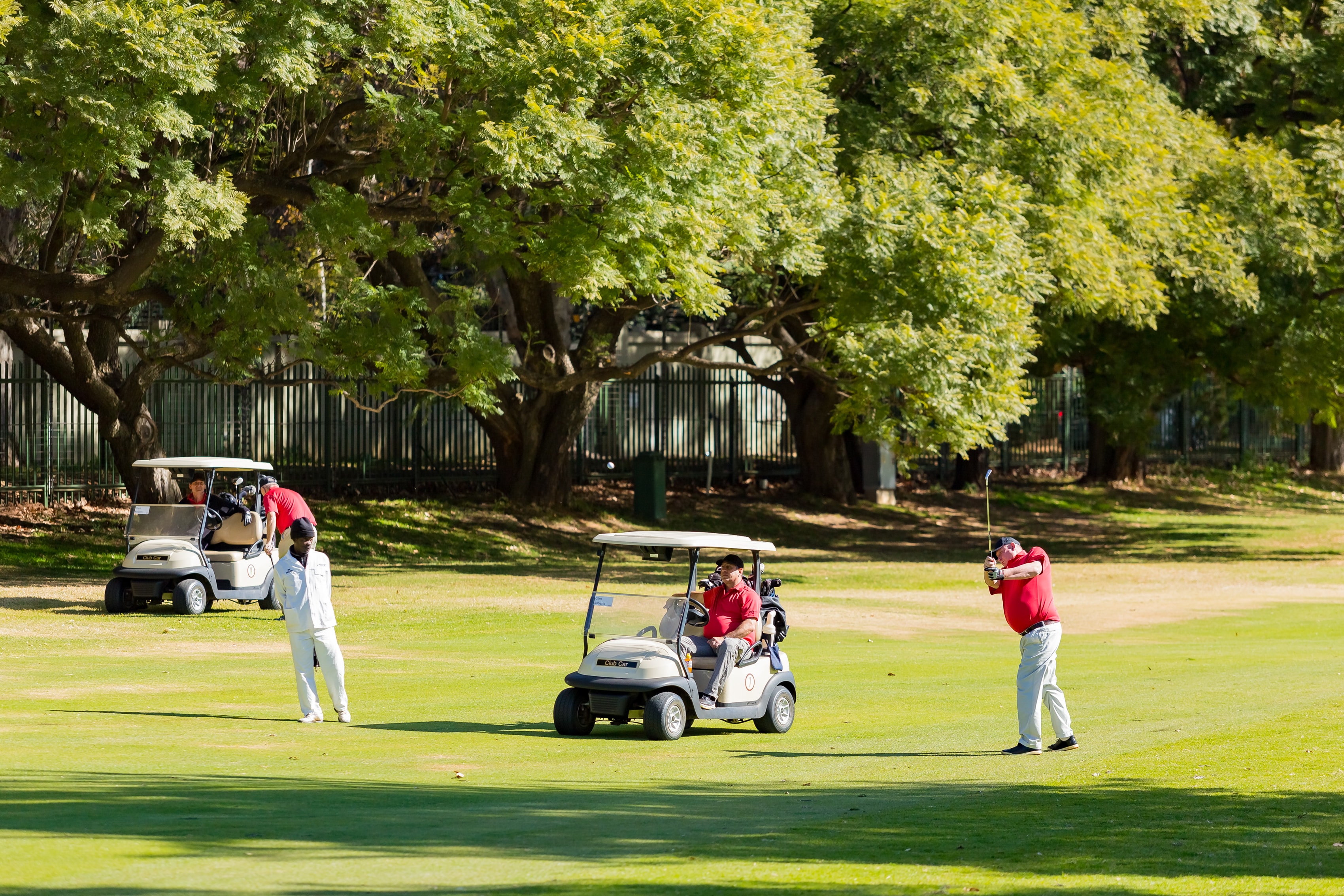Golfers playing on a sunny course with golf carts